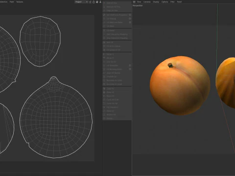 Frutta dell'albicocca Modello 3D