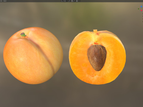 Apricot Fruit 3D Model