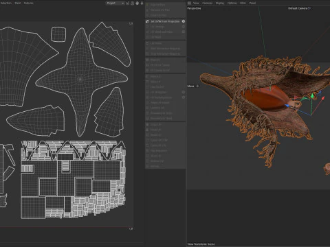 Frutto Di Faggiola Modello 3D