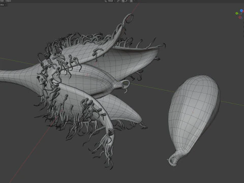 Frutto Di Faggiola Modello 3D