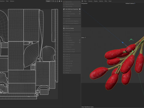 Owoce Berberysu Model 3D