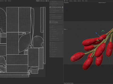 Berberis Fruit 3D Model