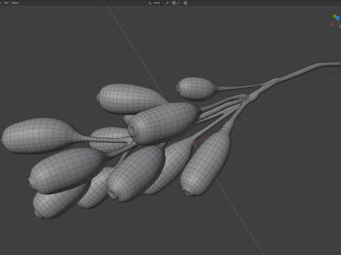 Owoce Berberysu Model 3D