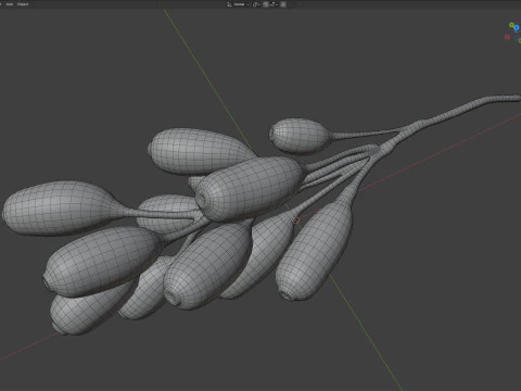 Berberis Fruit 3D Model
