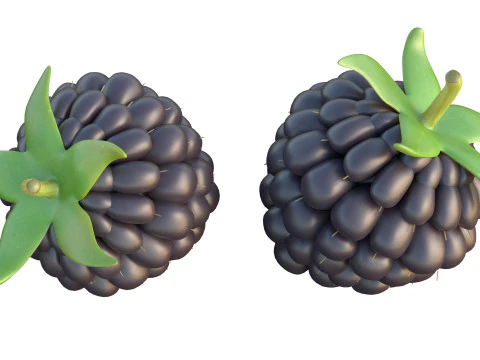 Blackberry Fruit 3D Model