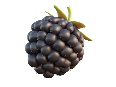 Blackberry Fruit 3D Model