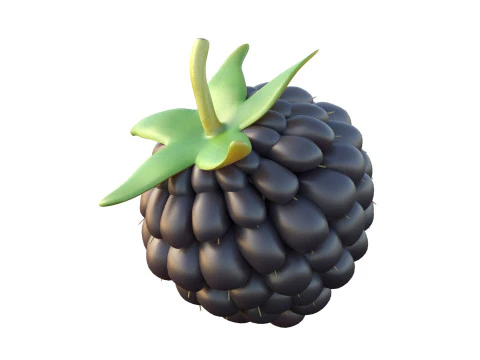 Blackberry Fruit 3D Model