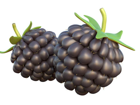 Blackberry Fruit 3D Model