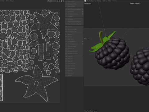 B&ouml;ğ&uuml;rtlen Meyvesi 3D Model