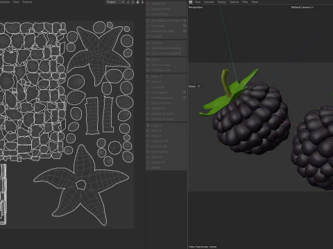 Blackberry Fruit 3D Model