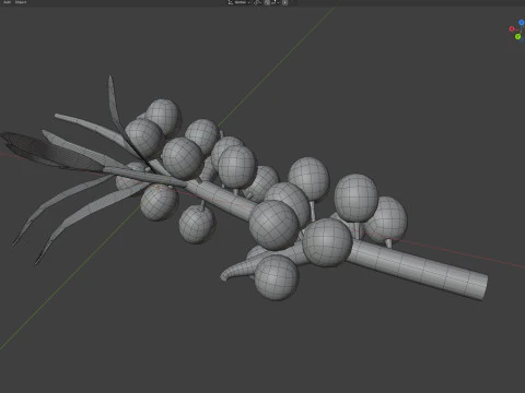 Fruta Hip&oacute;fae Modelo 3D