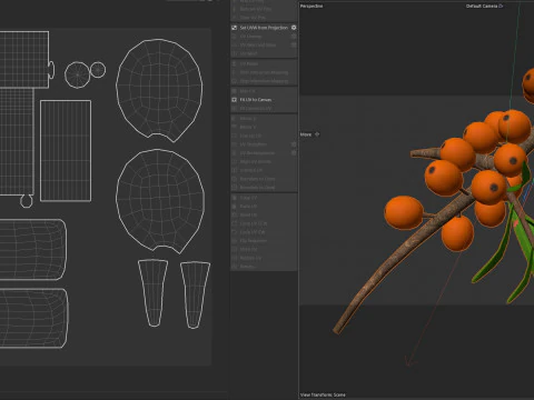Fruta Hip&oacute;fae Modelo 3D
