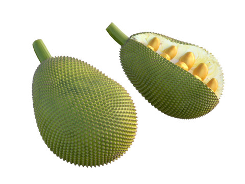 菠萝蜜 3D 模型