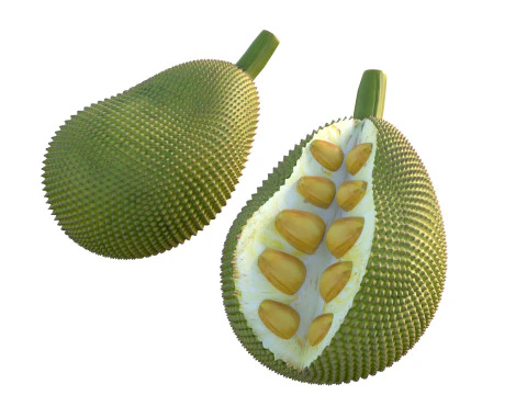 Jackfruit Modello 3D