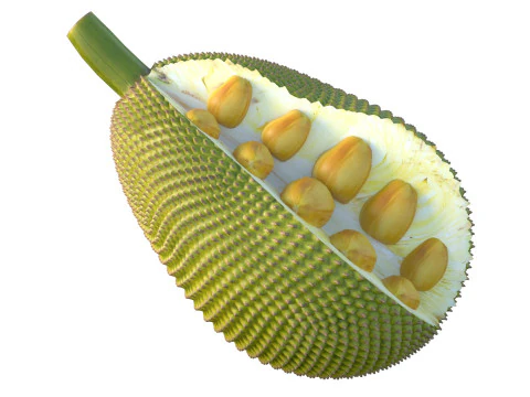 Jackfruit Modello 3D