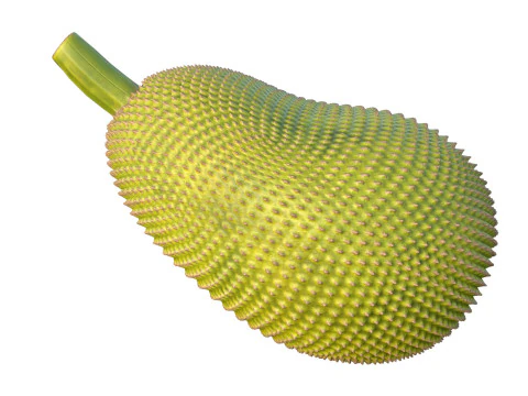Jackfruit Modello 3D