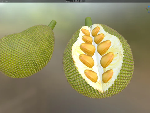 Jackfruit Modello 3D