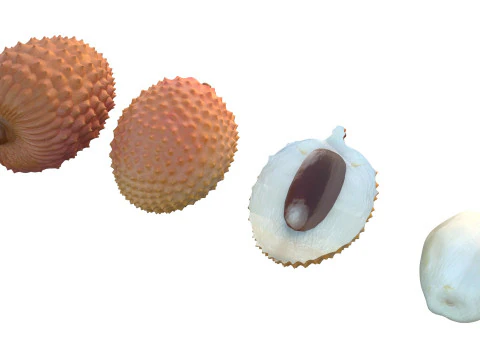 Lychee Fruit 3D Model