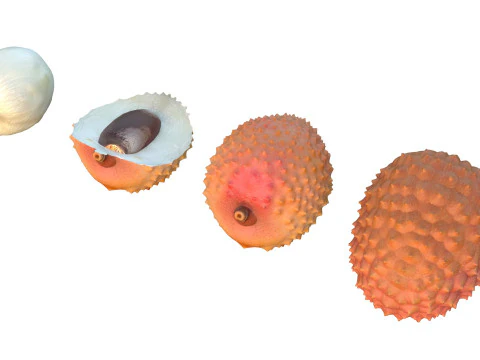Lychee Fruit 3D Model
