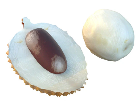 Lychee Fruit 3D Model