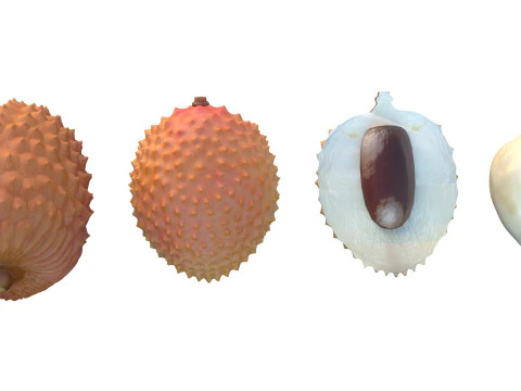Lychee Fruit 3D Model
