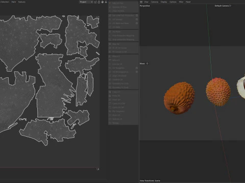 Lychee Fruit 3D Model