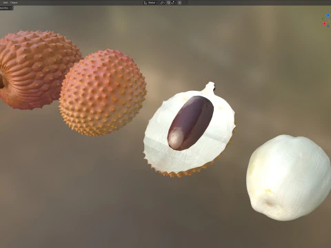 Lychee Fruit 3D Model