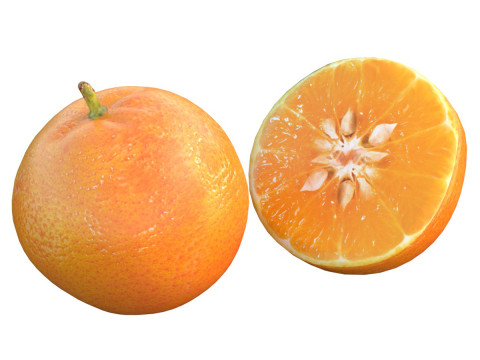 Mandarinenfrucht 3D Modell