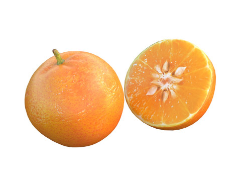 Mandarine Modèle 3D