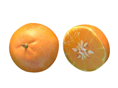 Mandarine Modèle 3D