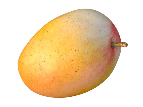 Mango Fruit 1 3D Model