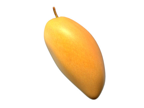 망고 과일 3 3D 모델