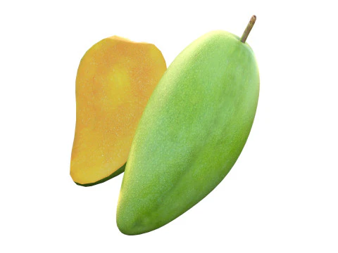 Mango Fruit 4 3D Model