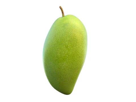 Mango Fruit 4 3D Model
