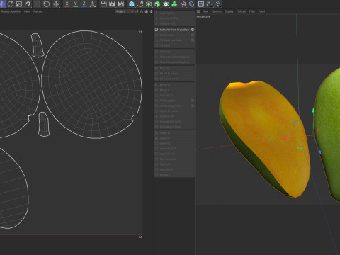 Манго Фрукт 4 3D Модель