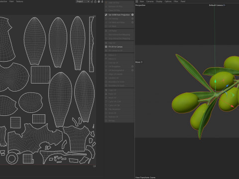 Gałązka oliwna Owoc Model 3D