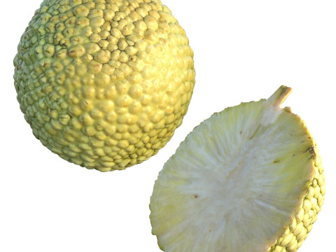 Osage-Orangenfrucht 3D Modell