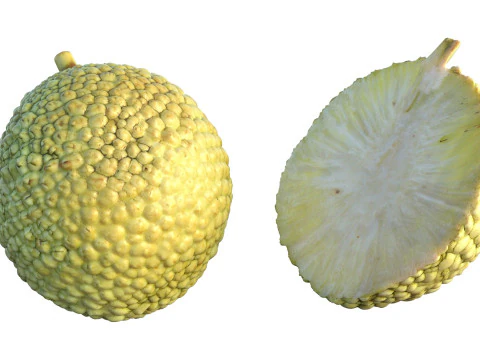 Fruta Laranja Osage Modelo 3D