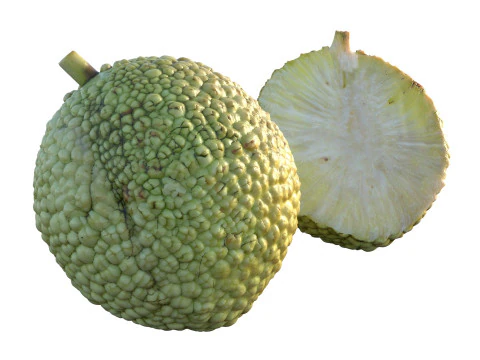 Fruta Laranja Osage Modelo 3D