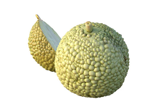 Fruta Laranja Osage Modelo 3D