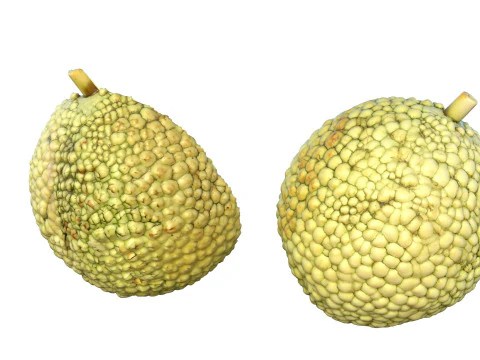 Fruta Laranja Osage Modelo 3D