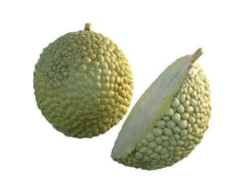 Fruta Laranja Osage Modelo 3D