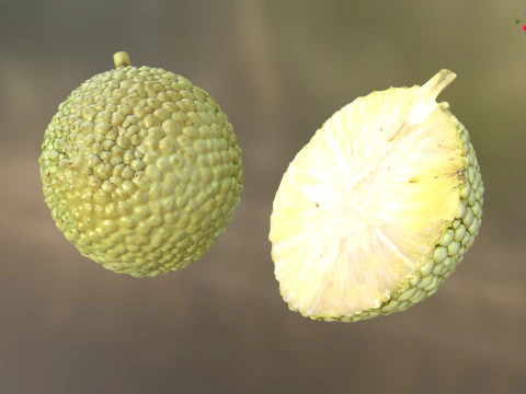Fruta Laranja Osage Modelo 3D