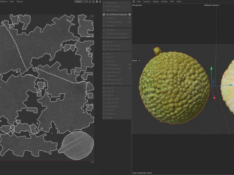 Fruta Laranja Osage Modelo 3D