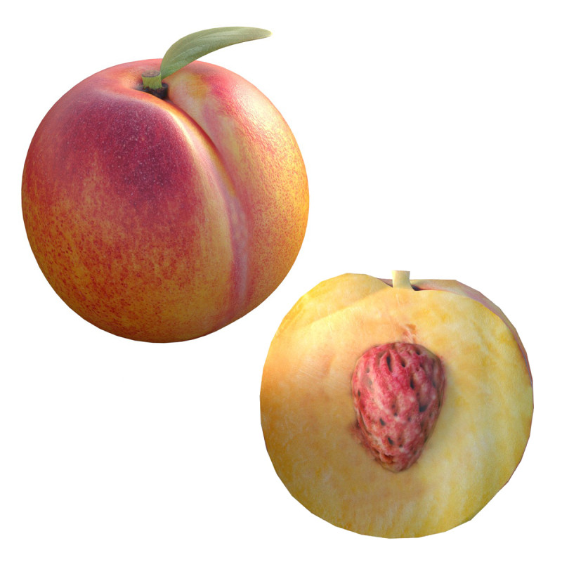 Peach Fruit 3D Model .c4d .max .obj .3ds .fbx .stl .blend 