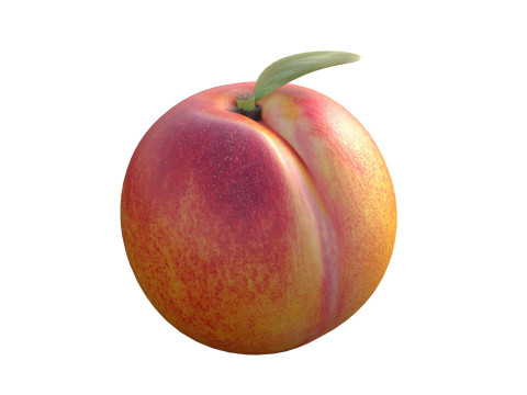 Peach Fruit 3D Model