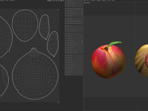 Peach Fruit 3D Model