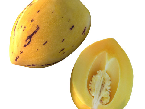 Pepino-Frucht 3D Modell
