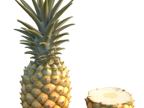 Ananasfrucht 3D Modell