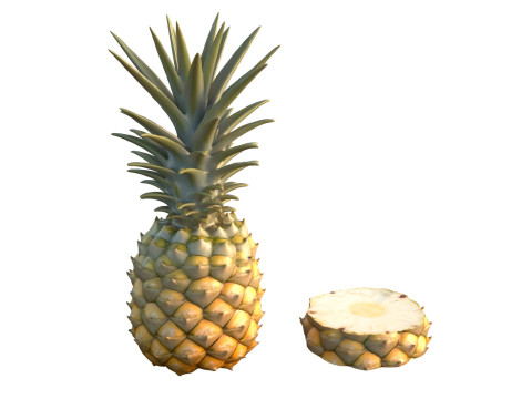 Ananasfrucht 3D Modell